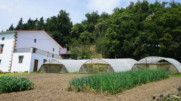Estufas Plástico Uma Pequena Fazenda Ecológica País Basco — Fotografia de Stock