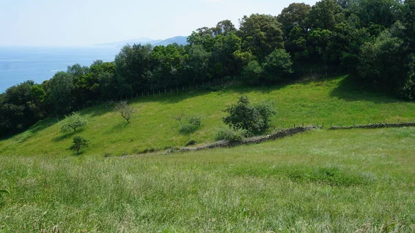 Vista Sul Mare Dalla Montagna Dalle Colline Getaria Nei Paesi — Foto Stock