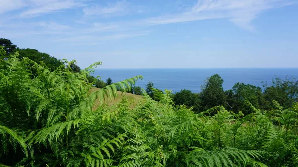 Vue Sur Mer Depuis Montagne Depuis Les Collines Getaria Pays — Photo