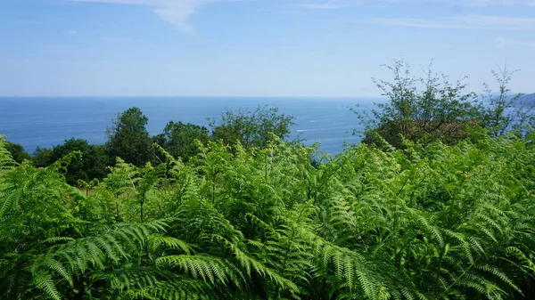 Utsikt Över Havet Från Berget Från Kullarna Getaria Baskien — Stockfoto