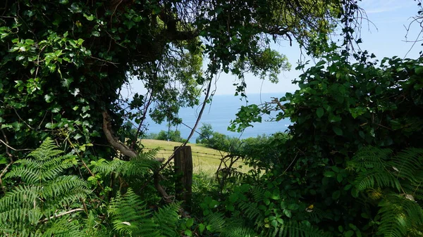 Utsikt Över Havet Från Berget Från Kullarna Getaria Baskien — Stockfoto