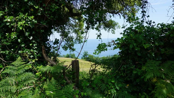 Vista Mar Partir Montanha Das Colinas Getaria País Basco — Fotografia de Stock