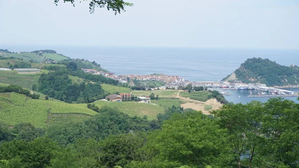 Getaria Krajobraz Port Widziany Krzaka Kraju Basków — Zdjęcie stockowe