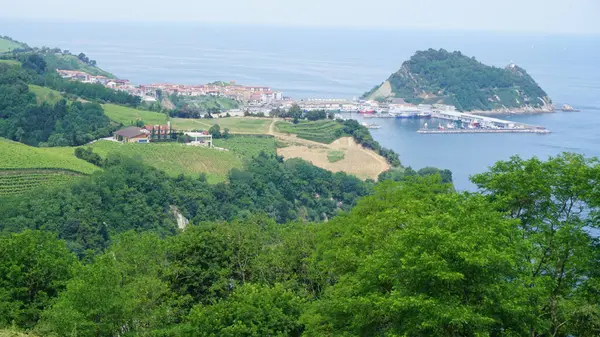 Getaria Krajobraz Port Widziany Krzaka Kraju Basków — Zdjęcie stockowe