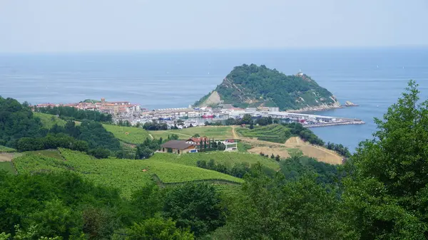 Paisagem Getaria Porto Visto Mato País Basco — Fotografia de Stock