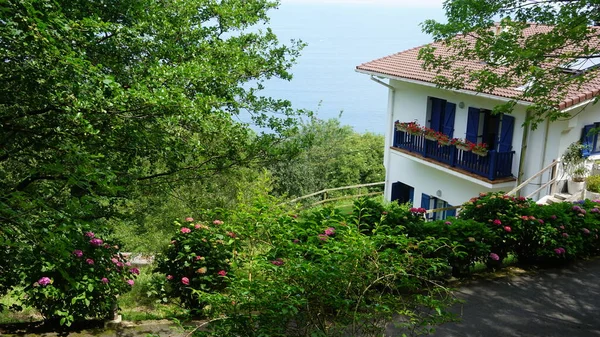 Flores Árvores Entrada Uma Típica Casa Basca — Fotografia de Stock