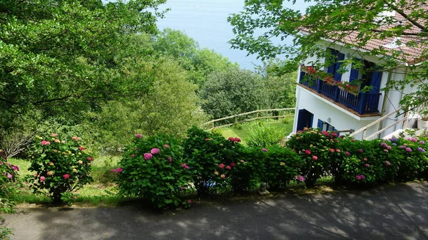 Flores Árvores Entrada Uma Típica Casa Basca — Fotografia de Stock