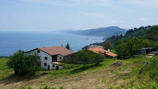 Сільський Пейзаж Баскської Країни Морем Задньому Плані — стокове фото