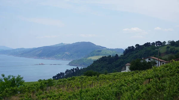 Krajobraz Wiejski Kraju Basków Morzem Tle — Zdjęcie stockowe