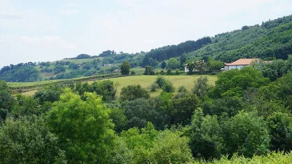 Landschap Van Landelijke Velden Baskenland Spanje — Stockfoto