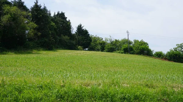 Paisaje Campos Rurales País Vasco España —  Fotos de Stock