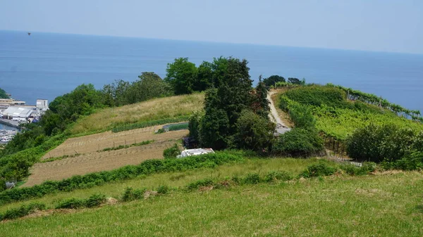 Paesaggio Una Strada Rurale Getaria Nei Paesi Baschi — Foto Stock