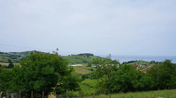 Landschaft Der Ländlichen Felder Baskenland Spanien — Stockfoto