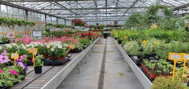 Donostia San Sebastian, Bask Ülkesi, İspanya, 19 Haziran 2020: Satılık birçok bitkisi olan bahçe merkezi