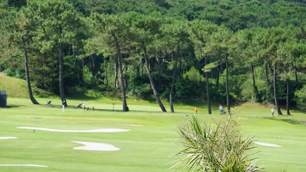 Golfový Míček Zelené Louce Spoustou Stromů Modrou Oblohou — Stock fotografie