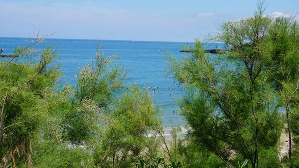 Hermoso Paisaje Marino Con Río —  Fotos de Stock