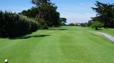 Yeşil çimenli golf sahası