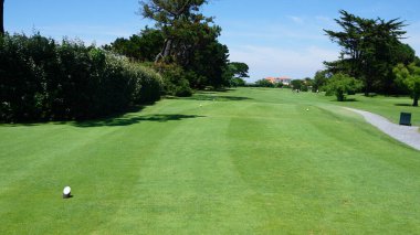 Güneşli bir günde yeşil çimen ve tarla. Golf kulübünün manzarası.