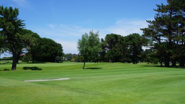 Kırsalda golf sahası.