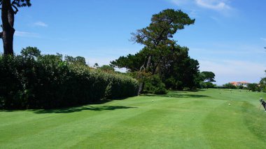 Parktaki güzel yeşil çimlerin manzarası