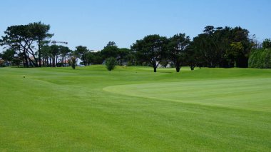 Golf sahası, yaz tatili, güneşli bir gün.