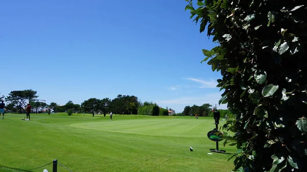 golf course on a beautiful blue sky with green trees