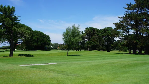 Golfbaan Het Platteland — Stockfoto