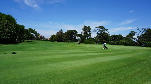 绿色草坪上的高尔夫球场 — 图库照片