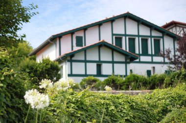 Çatı ve yeşil yapraklı modern mesken evi, mavi gökyüzü arka planı