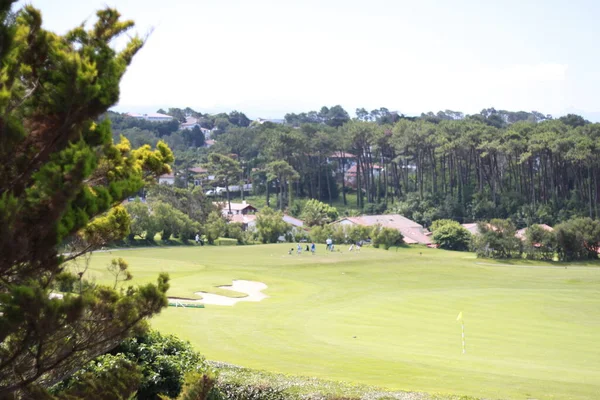 Campo Golf Con Arena Montañas Fondo Hierba Verde Naturaleza — Foto de Stock