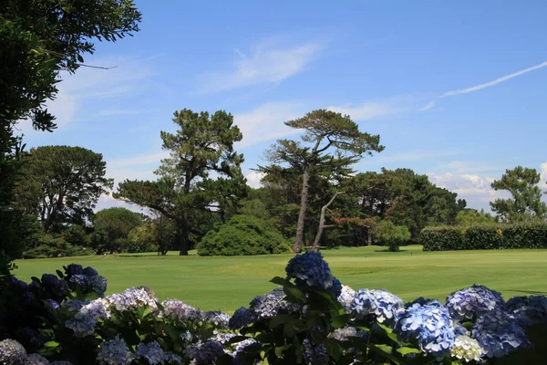 Biarritz Golf Landscape Basque Country Aquitaine Γαλλία — Φωτογραφία Αρχείου