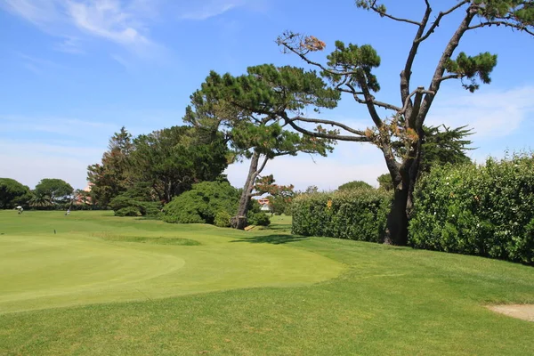 Biarritz Golf Landscape Basque Country Aquitaine Γαλλία — Φωτογραφία Αρχείου