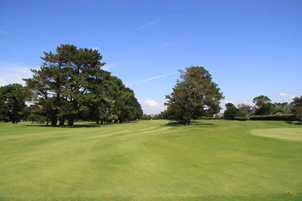 Biarritz Golflandschaft Baskenland Aquitanien Frankreich — Stockfoto