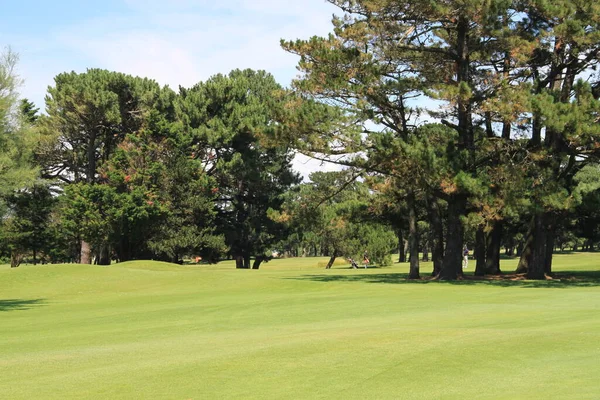 Biarritz Golf Landscape Basque Country Aquitaine France — 스톡 사진