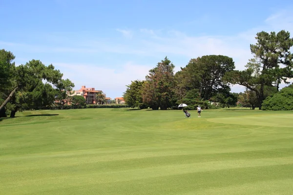 Biarritz Golf Landscape Basque Country Aquitaine France — 스톡 사진