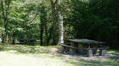 Urkiola doğal parkının ormanında piknik masaları