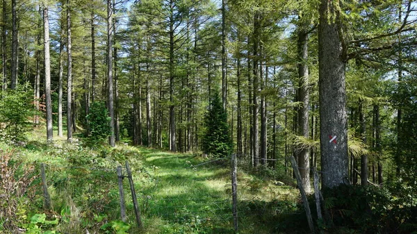 Bask Ülkesindeki Urkiola Doğal Parkının Güzel Manzarası — Stok fotoğraf