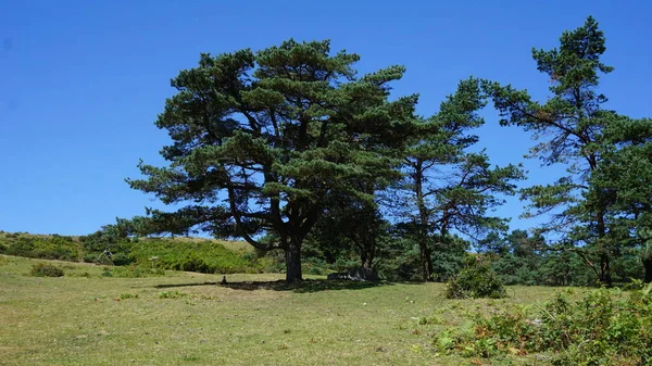 Hermoso Paisaje Del Parque Natural Urkiola País Vasco —  Fotos de Stock