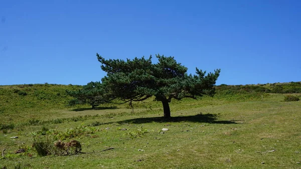 Vackert Landskap Urkiola Naturpark Baskien — Stockfoto