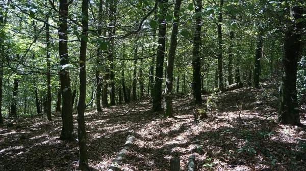 バスク地方のウルキオラ自然公園の美しい風景 — ストック写真