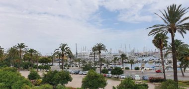 Palma de Mallorca, Balear Adaları, İspanya, Ağustos, 11, 2020: Palma 'nın yanındaki limanda demirlemiş tekneler