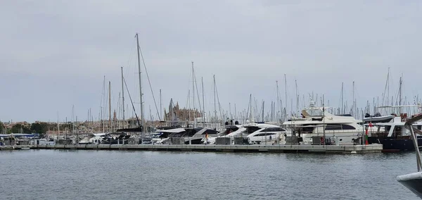 Palma Maiorca Ilhas Baleares Espanha Agosto 2020 Barcos Atracados Marina — Fotografia de Stock