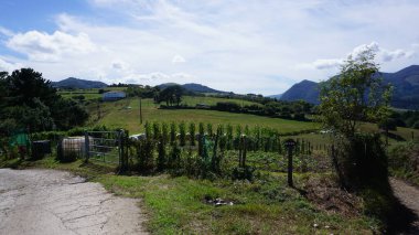 Deba, Gipuzkoa 'daki sebze bahçesi, Bask Ülkesi