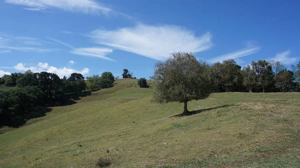 Paesaggio Rurale Montagne Deba Nei Paesi Baschi — Foto Stock