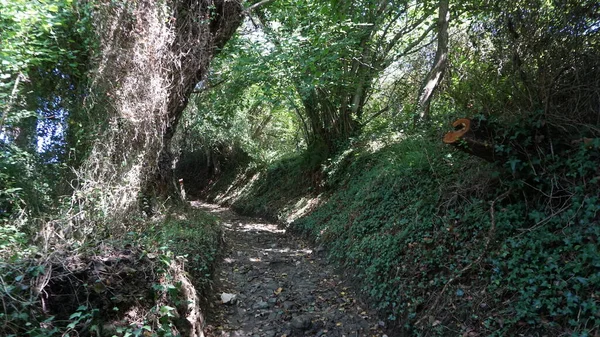 Sendero Las Montañas Deba Gipuzkoa País Vasco —  Fotos de Stock