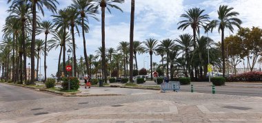 Palma de Mallorca, Balearic Adaları, İspanya, 11 Ağustos 2020: Bir yaz öğleden sonra Palma de Mallorca manzarası