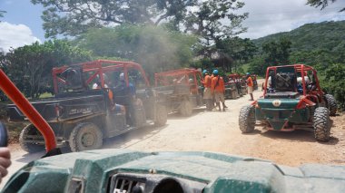 Ormandaki büyük bir grup insan.
