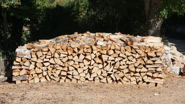 Haufen Trockenen Brennholzes Für Den Kalten Winter Urbasa Navarra — Stockfoto