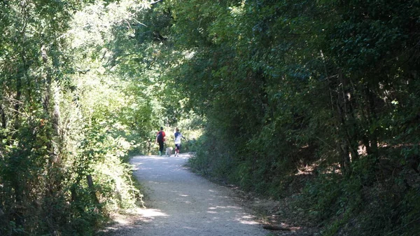 Urbasa, Navarra, 2 Eylül 2020: Navarra 'daki Urbasa doğal parkındaki Urederra' nın kaynağına giden bir patikada yürüyüş yapanlar.