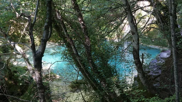 Piscinas Agua Cristalina Fondo Azul Fuente Urederra Urbasa Navarra —  Fotos de Stock